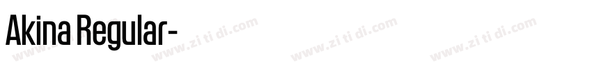 Akina Regular字体转换 Akina Regular字体转换